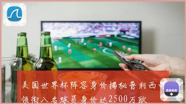 美国世界杯阵容身价揭秘普利西奇领衔八名球员身价达2500万欧